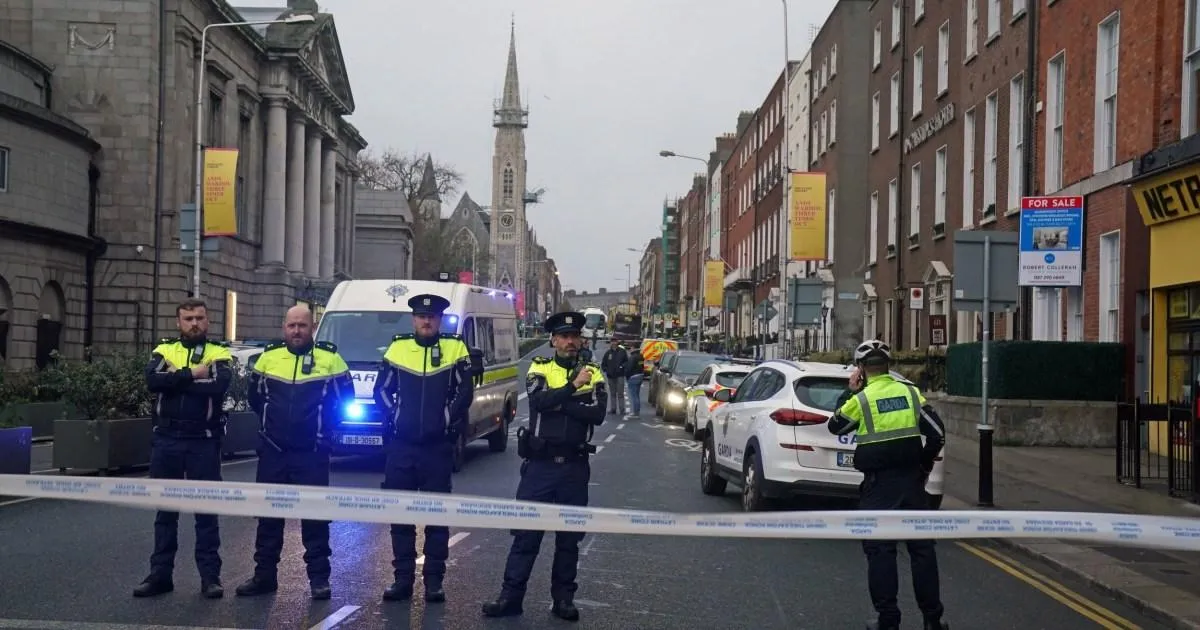 Girl stabbed in Parnell Square now uses wheelchair and can't speak | News World
