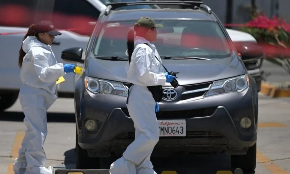 Investigation launched after body found near World Cup training centre | News World