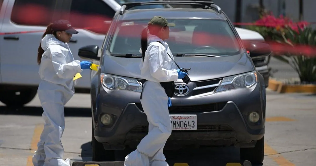 Investigation launched after body found near World Cup training centre | News World
