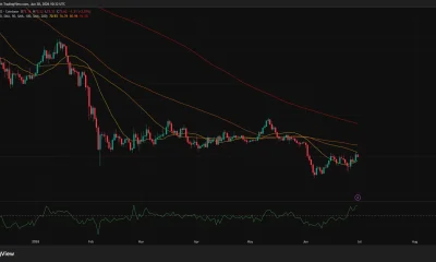 Solana daily chart showing price rebounding toward key resistance near the 50-day SMA after an 18% rally.
