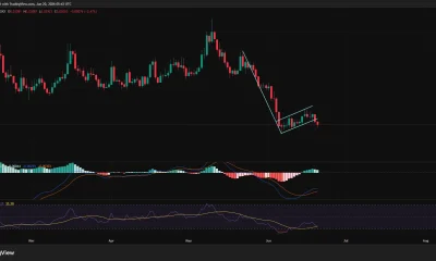 Sonic (S) daily price chart showing a bearish flag breakdown, with the token trading near $0.03 after extending a prolonged downtrend and testing support around $0.028.