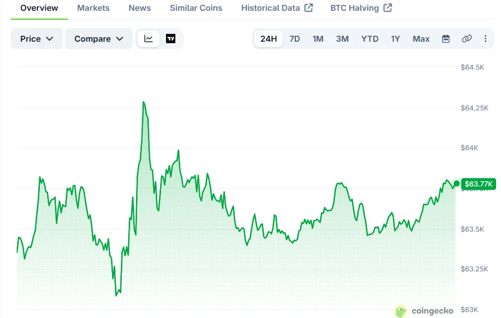 Bitcoin Heads for Worst June Since 2022 as Analysts Eye October Turning Point