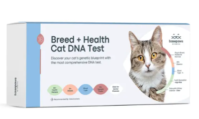 The Rise of Pet Personalization: Cat DNA and the New Luxury Pet Culture