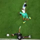 Senegal during the FIFA World Cup, Qatar 2022