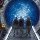 Amazon Cancels New Stargate Series For The One Reason No Sci-Fi Fan Wants To Hear