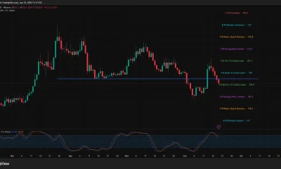 Bittensor (TAO) daily chart showing a breakdown below the $237 support zone as bearish momentum builds toward the $220 level.