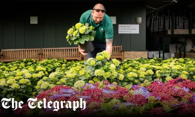 Wimbledon’s head gardener answers your questions