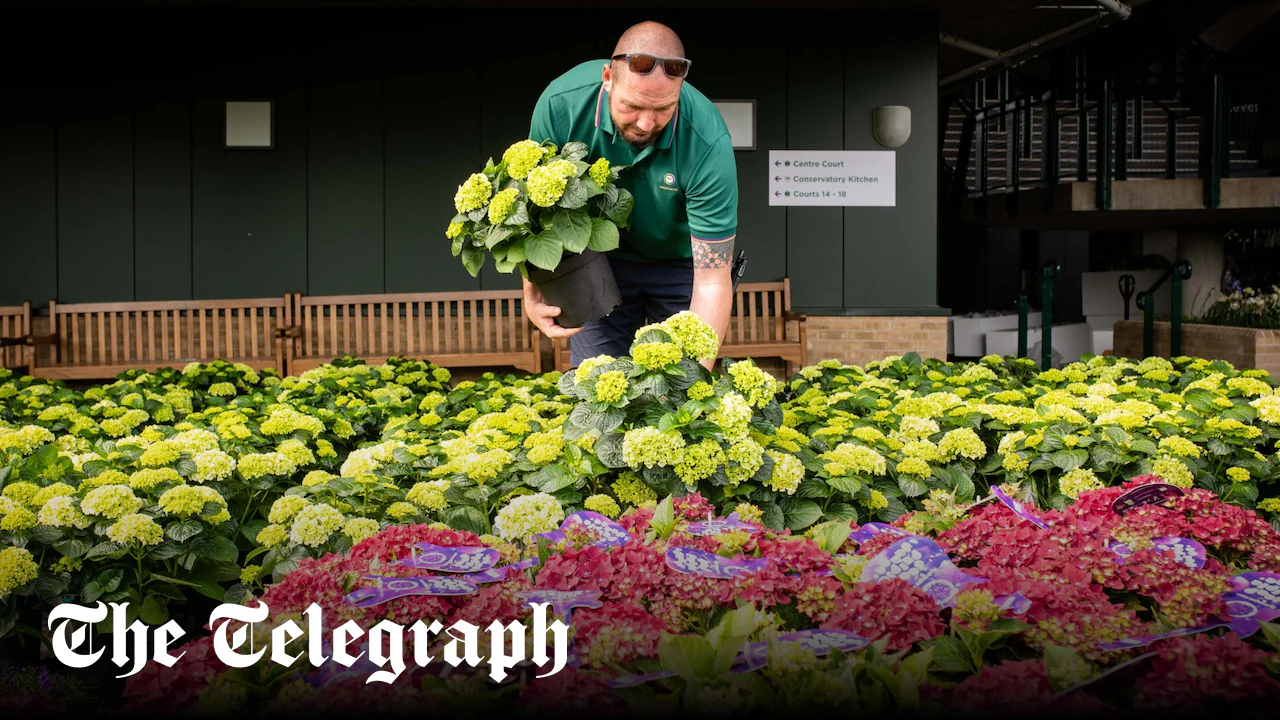 Wimbledon’s head gardener answers your questions