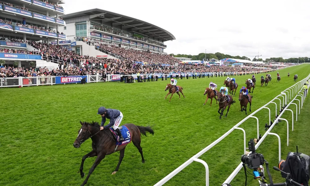 the runners, riders and which horse to bet on