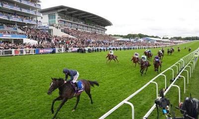 the runners, riders and which horse to bet on