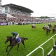 the runners, riders and which horse to bet on