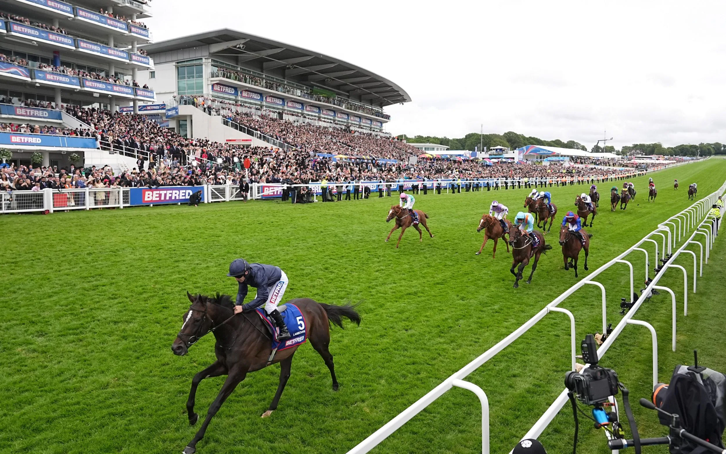 the runners, riders and which horse to bet on