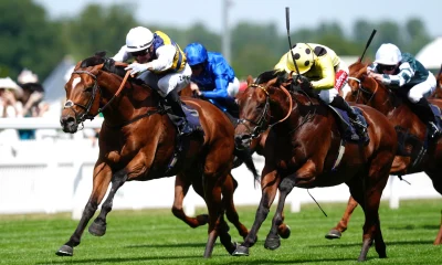 Our expert’s predictions for every race of the 2026 festival