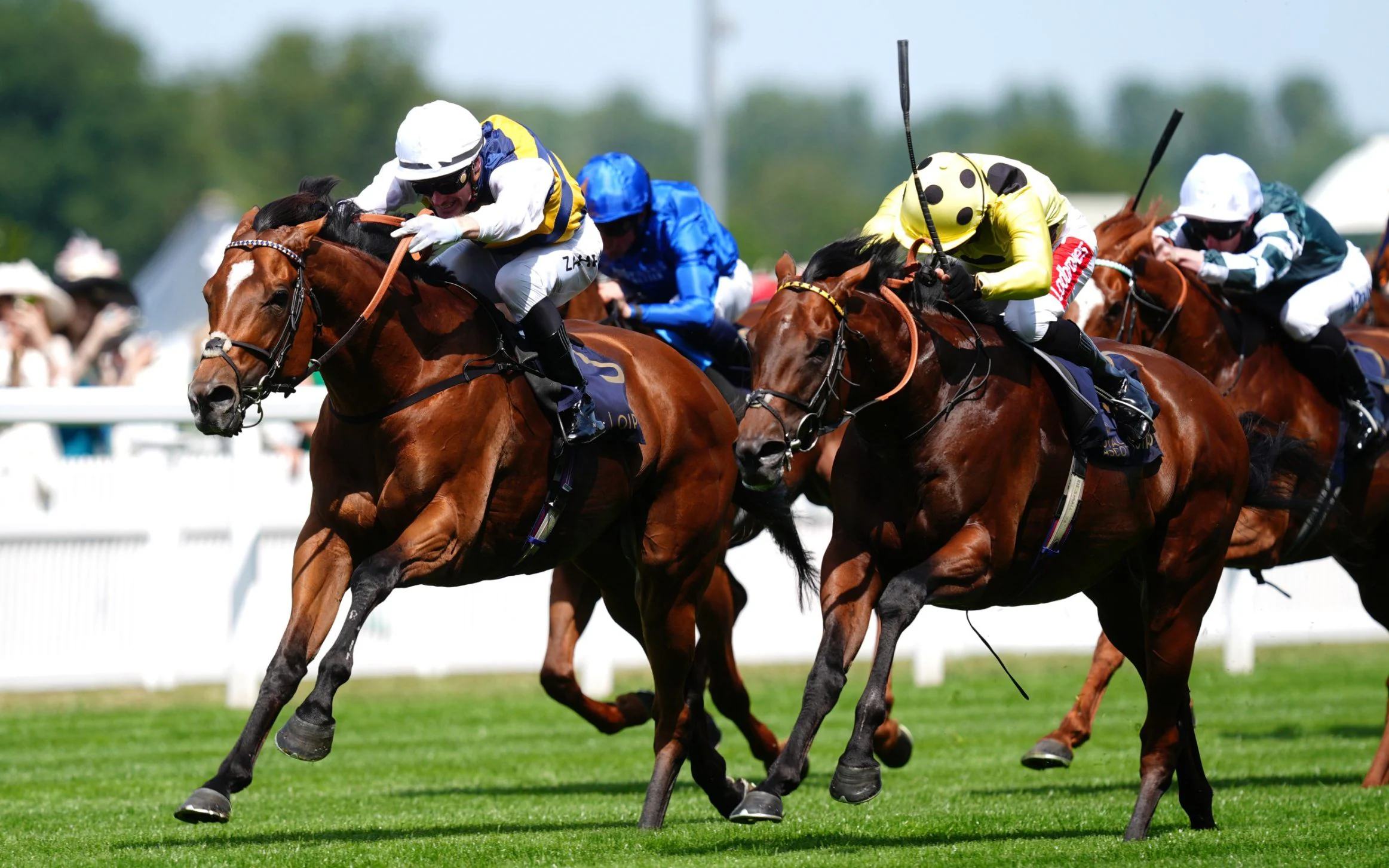 Our expert’s predictions for every race of the 2026 festival
