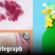 The best hacks to remove stains from upholstery, according to readers
