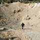 gaza genocide