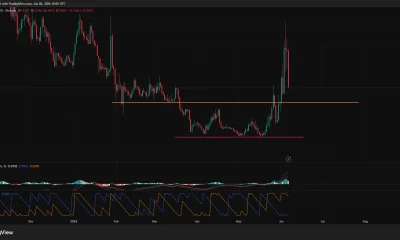 Worldcoin daily price chart.