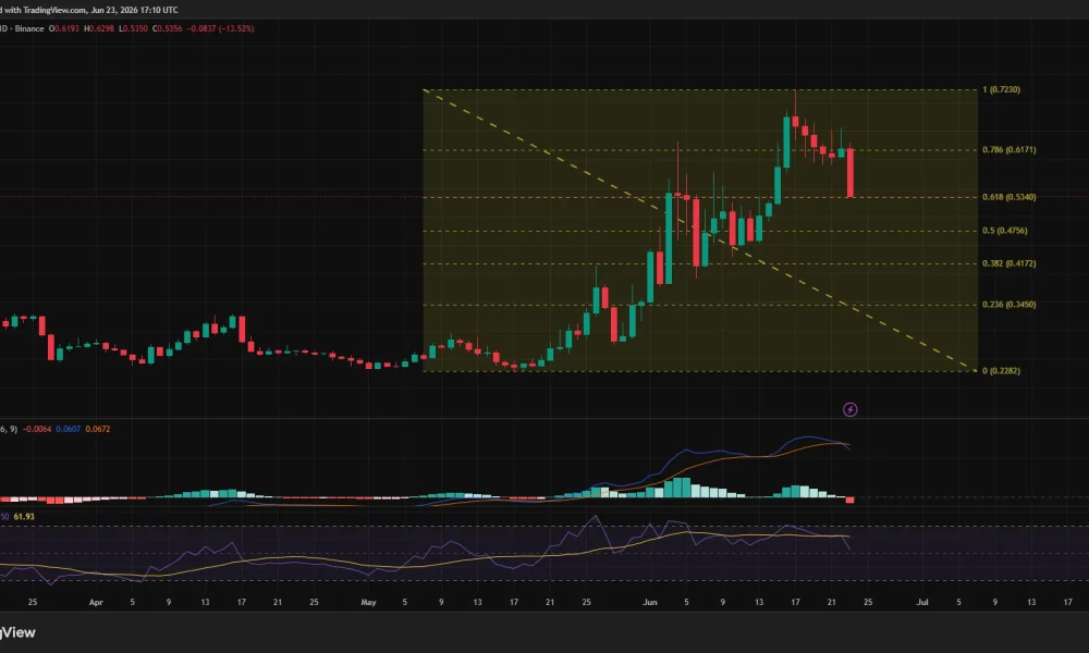 Worldcoin (WLD) daily chart showing a sharp 12% drop to the 61.8% Fibonacci retracement level near $0.53, with bearish MACD crossover and weakening RSI signaling fading momentum after June's rally.