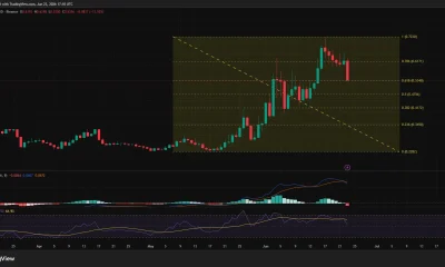 Worldcoin (WLD) daily chart showing a sharp 12% drop to the 61.8% Fibonacci retracement level near $0.53, with bearish MACD crossover and weakening RSI signaling fading momentum after June's rally.