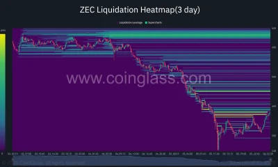Zcash liquidation heatmap.