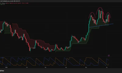 Zcash price has formed a head and shoulders pattern on the daily chart.
