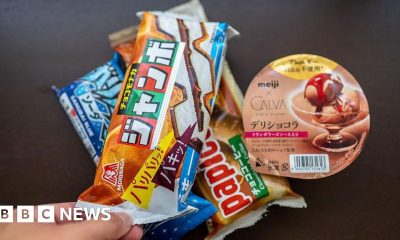Japan raids ice cream giants over price-fixing allegations