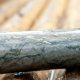 ASX explorers grow investment spend