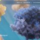 Apogee Therapeutics Shares Surge 46 Percent to 132.70 on Positive