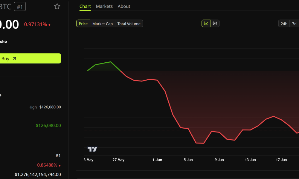 Bitcoin Price Performance