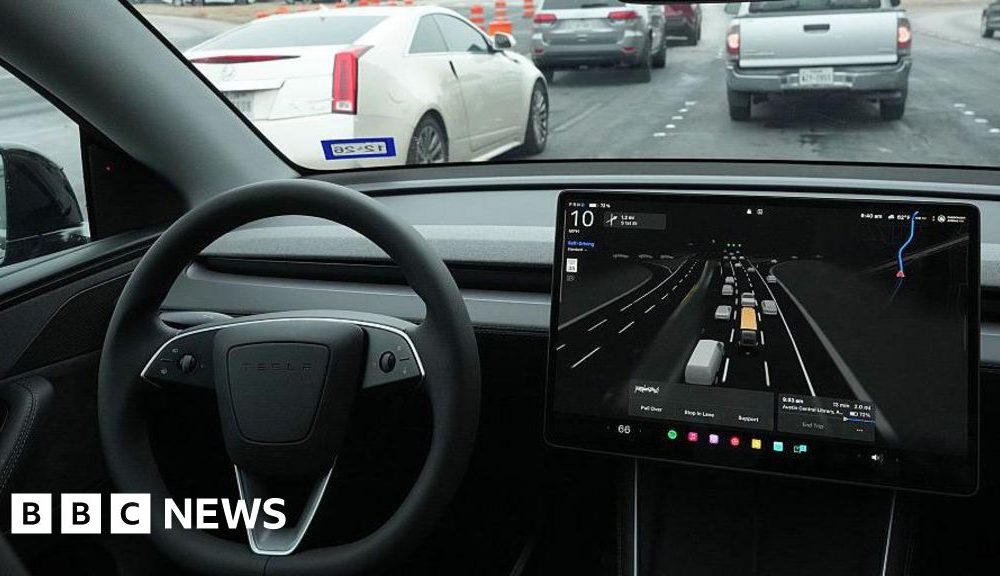 Tesla crash that killed a woman under US federal investigation