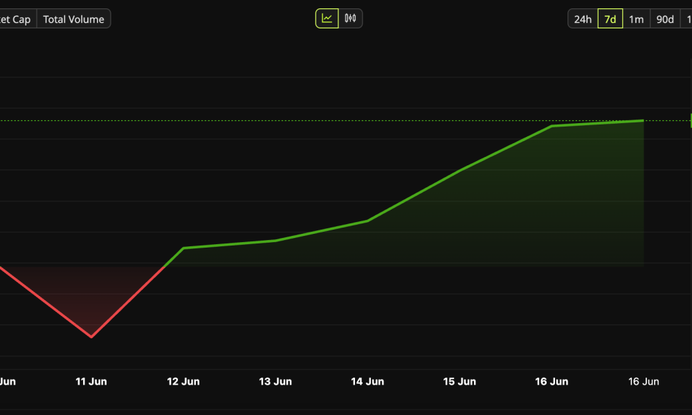 The price of HYPE has been rising since the SpaceX IPO.