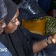 South Africa's illegal immigration crackdown: President Ramaphosa unveils plan