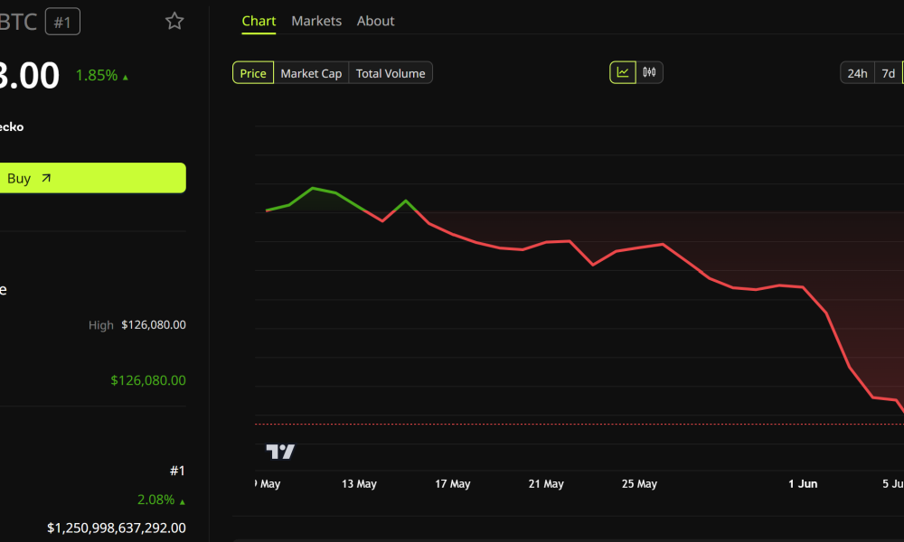 Bitcoin Price Performance