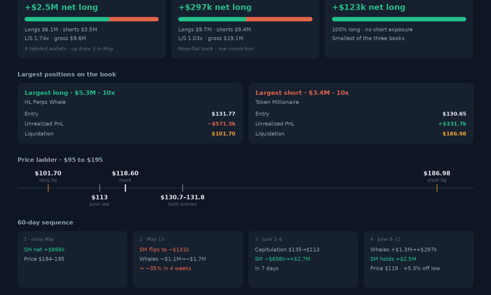 MSTR Hyperliquid Positioning Dashboard