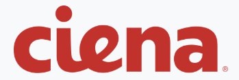 Ciena Corporation Stock Plunges 13% Despite Record Q1 Revenue and