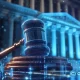 Brothers face 20 years after $8m crypto kidnapping plea