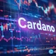 Why Cardano's social activity surges as ADA crashes
