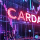 Cardano just hit a multi-year low. what's next