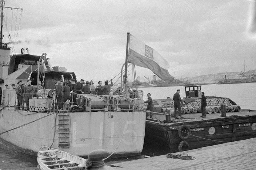 The Polish D-Day Story