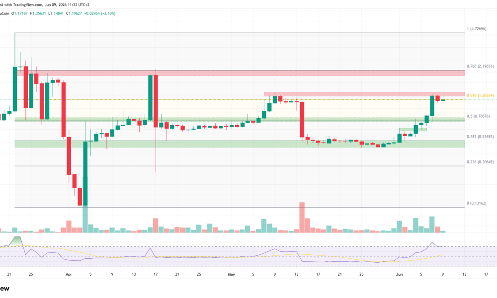 3 Meme Coins to Watch in the Second Week of June 2026