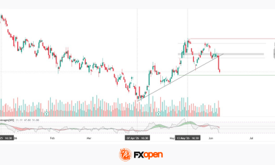 Tesla: Attempted Decline Following a Corrective Trend