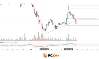 Ripple: Letter to Congress Stirs the Crypto Market