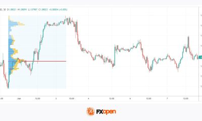Fixed Range Volume Profile (FRVP) Explained