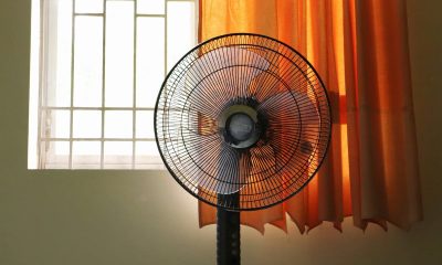 Expert reveals the hidden signs of heat illness as Portsmouth experiences heatwave