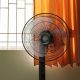 Expert reveals the hidden signs of heat illness as Portsmouth experiences heatwave