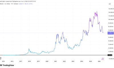 Bitcoin Price Performance Since 2016