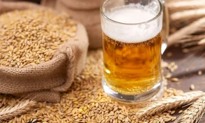 Canadian project to turn spent beer grains into food ingredients