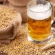 Canadian project to turn spent beer grains into food ingredients