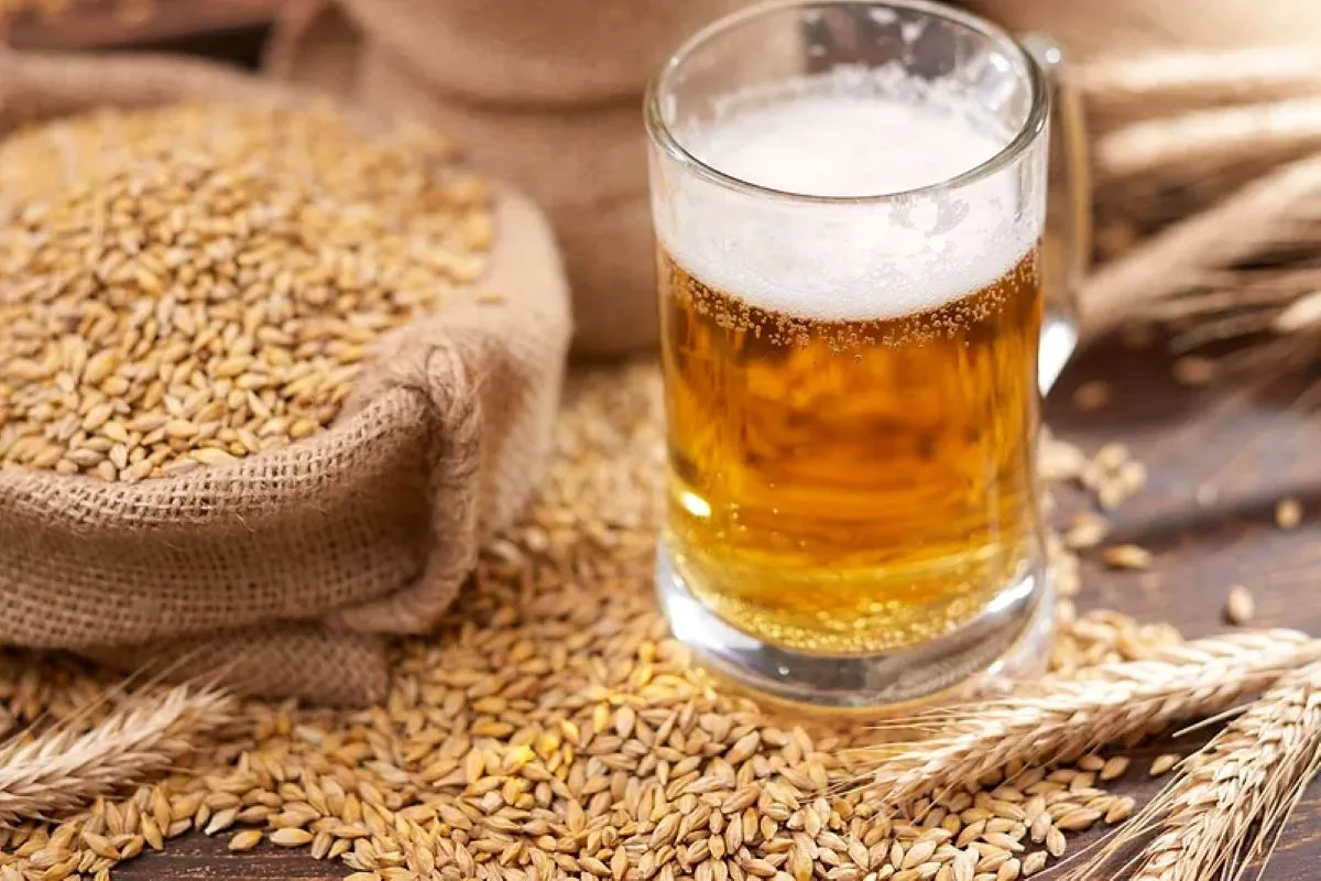 Canadian project to turn spent beer grains into food ingredients