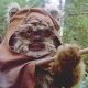ewoks